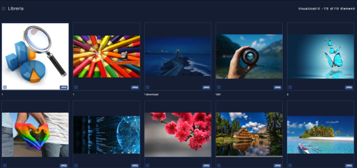 schermata di esempio del DAM in cui sono visibili diversi asset multimediali